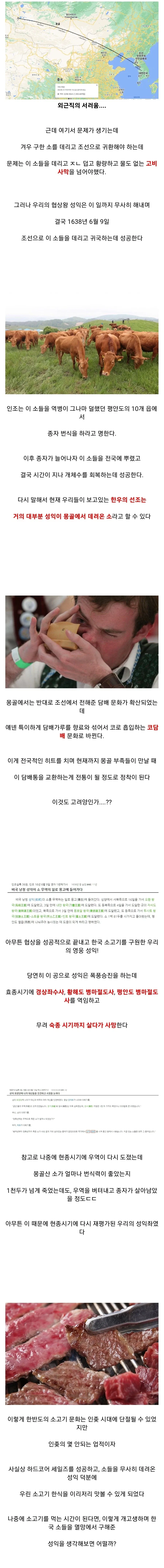 한반도의 소 멸종을 막은 인물_5.webp