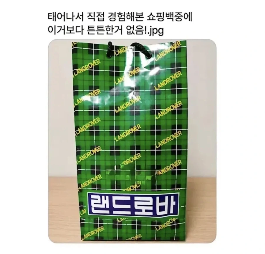 쇼핑백 내구도 GOAT .jpg_1.webp