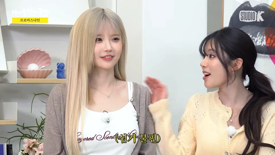 데뷔 9년차 아이돌의 맏언니 대우법.jpg_13.webp