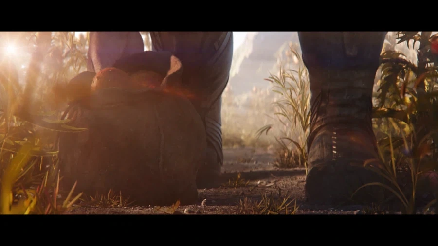 MCU) 핑거스냅후 타노스를 찾아가 죽인 이유_2.webp
