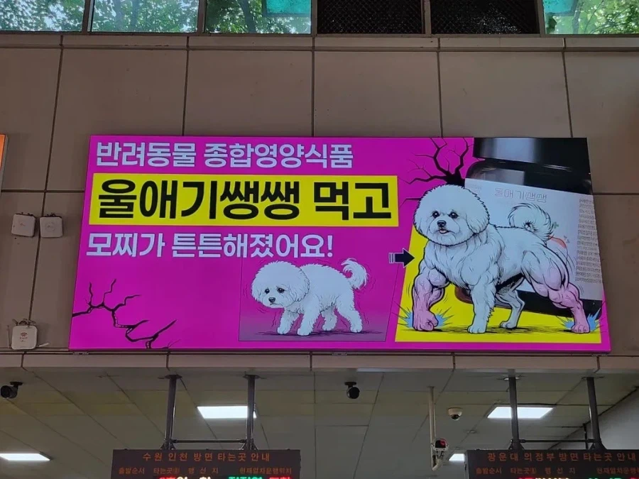 좀 수상한 애완동물 영양간식_1.webp