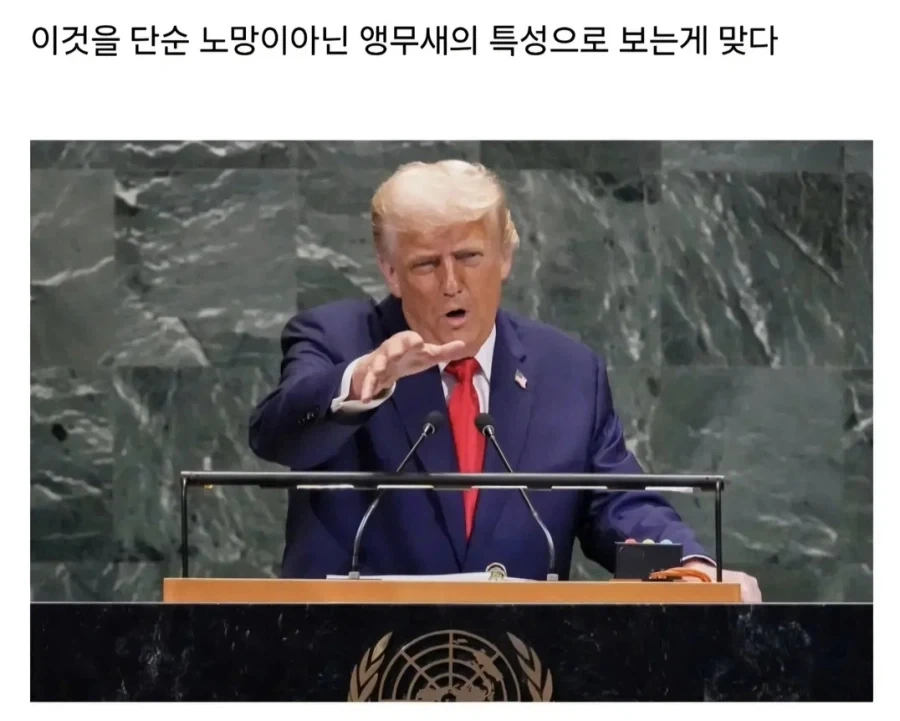트럼프는 사실 앵무새임_5.webp