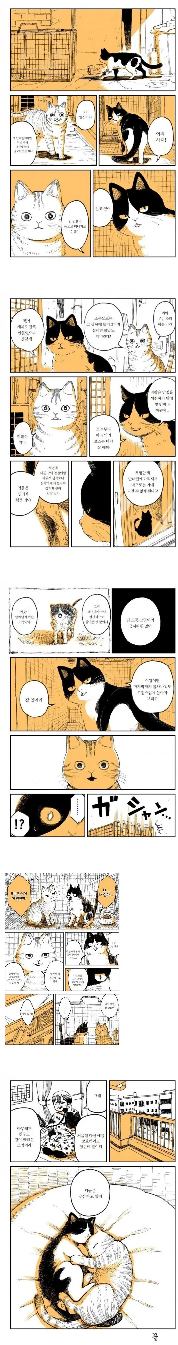 manga_663061_001.webp