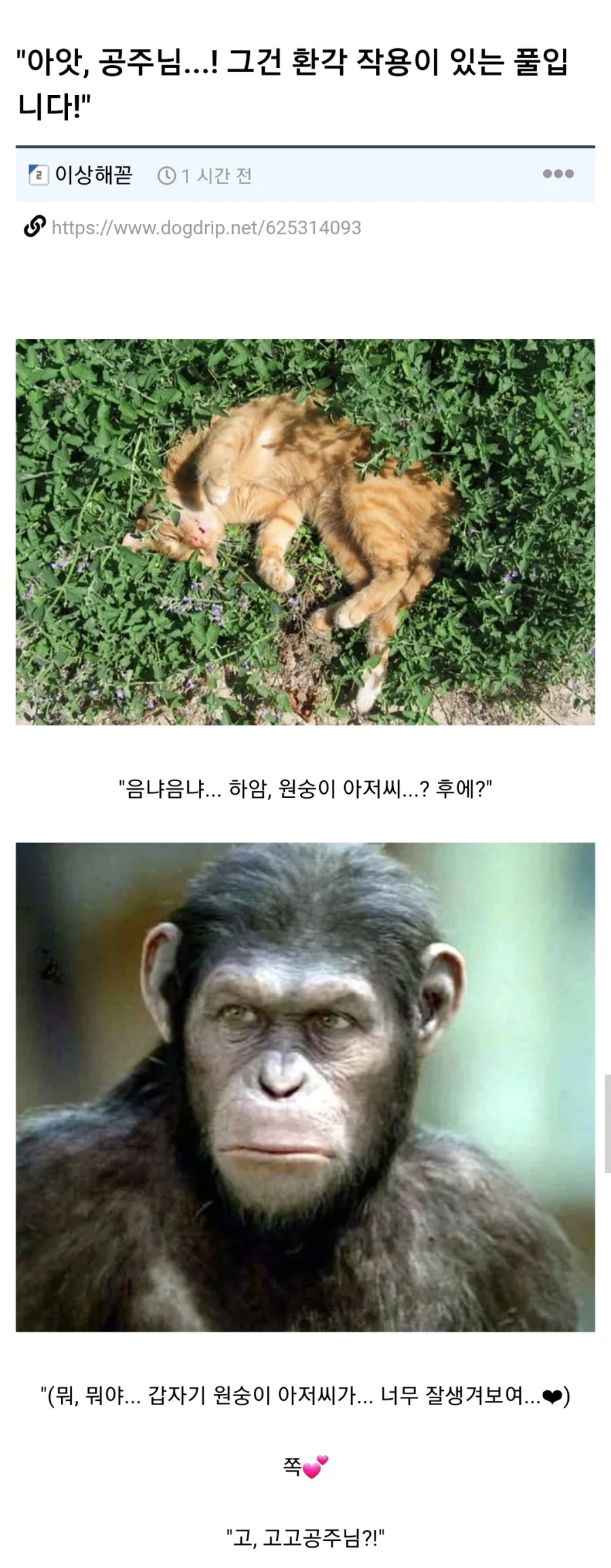 환각의 숲에 들어간 두 사람.jpg_1.webp