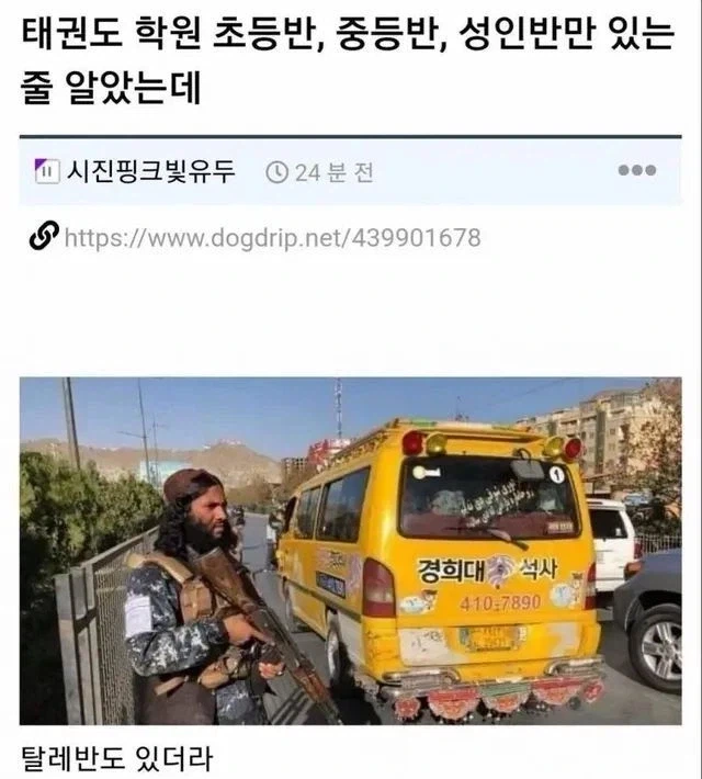 태권도의 진실.jpg_1.webp