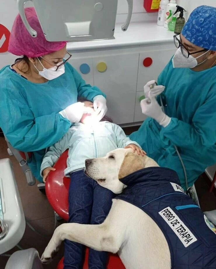 의외로 치과환자들을 위한 복지_1.jpg