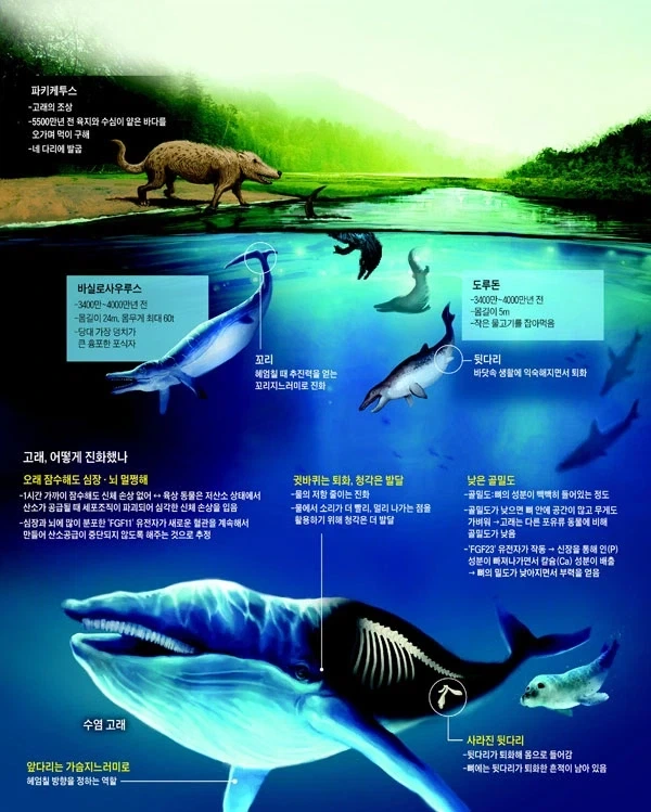 볼때마다 존나 신기한 고대 그리스 철학자..._2.webp