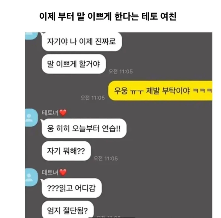 이제부터 말 이쁘게 하겠다는 테토 여친…JPG_1.webp