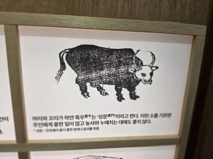옛날부터 안좋은 취급을 받은 존재_1.webp