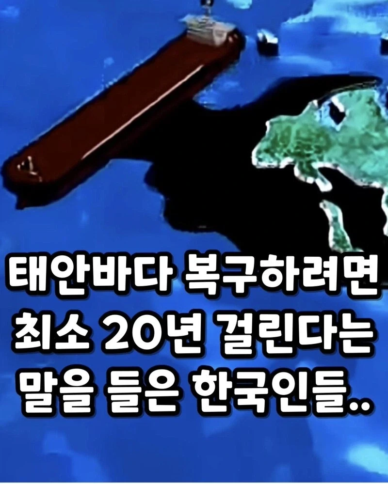 ??? : 한국인들아 느그 그거 복구 20년 걸린다_1.webp
