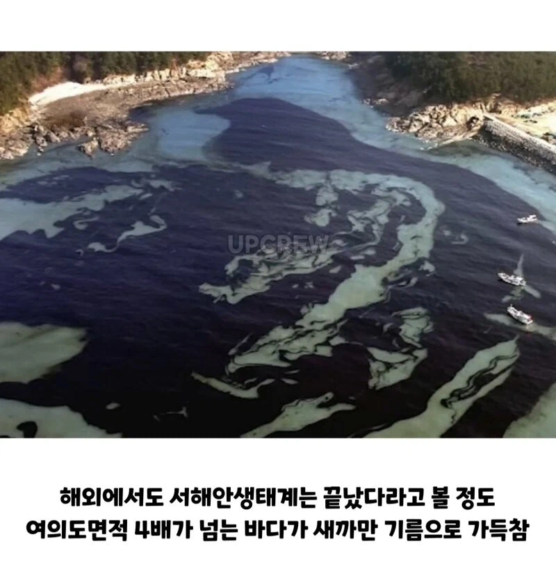 ??? : 한국인들아 느그 그거 복구 20년 걸린다_3.webp