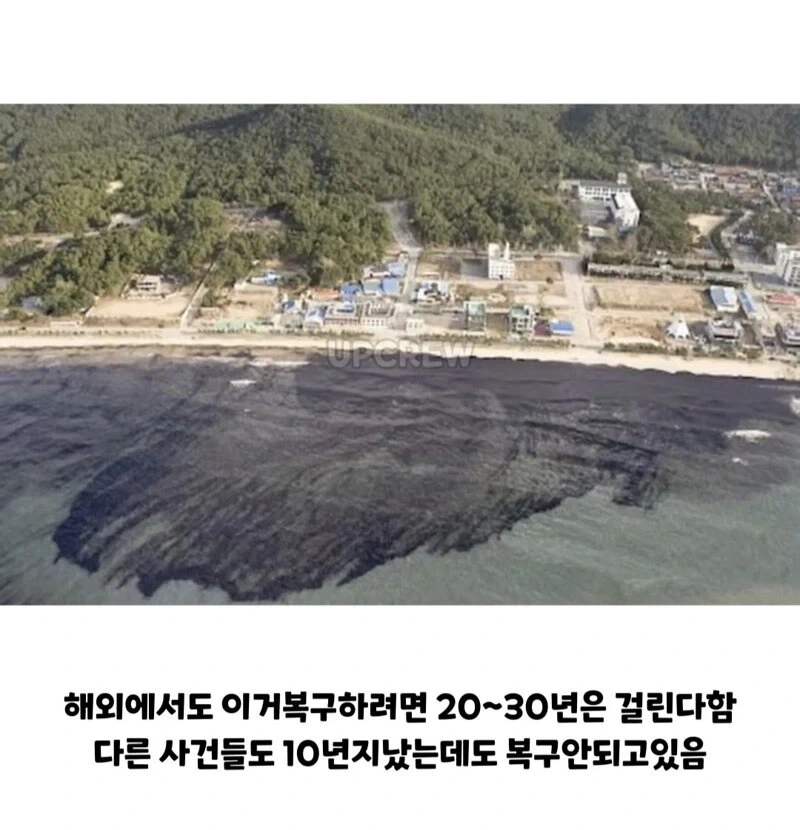 ??? : 한국인들아 느그 그거 복구 20년 걸린다_4.webp