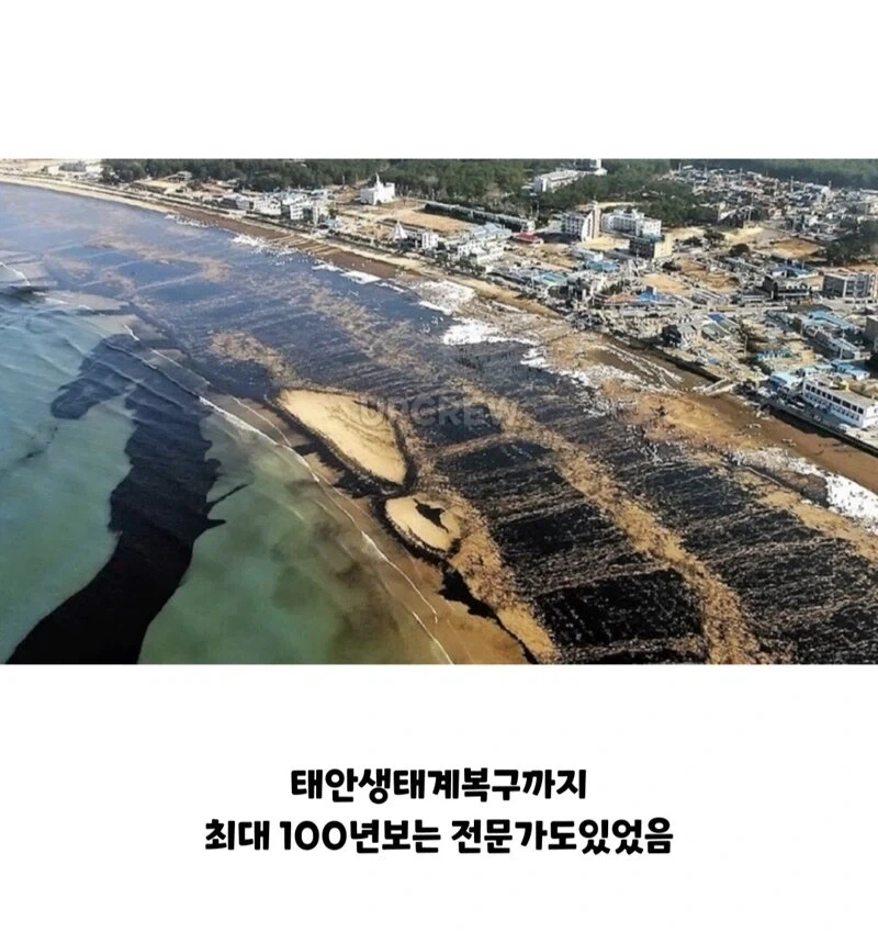 ??? : 한국인들아 느그 그거 복구 20년 걸린다_7.webp