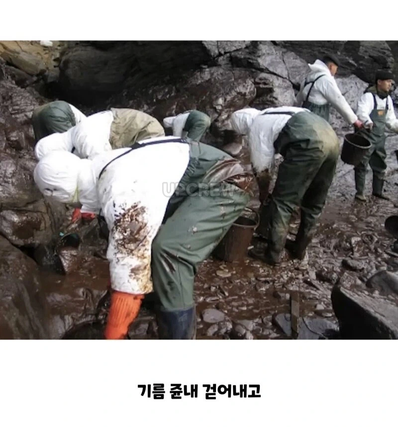 ??? : 한국인들아 느그 그거 복구 20년 걸린다_13.webp