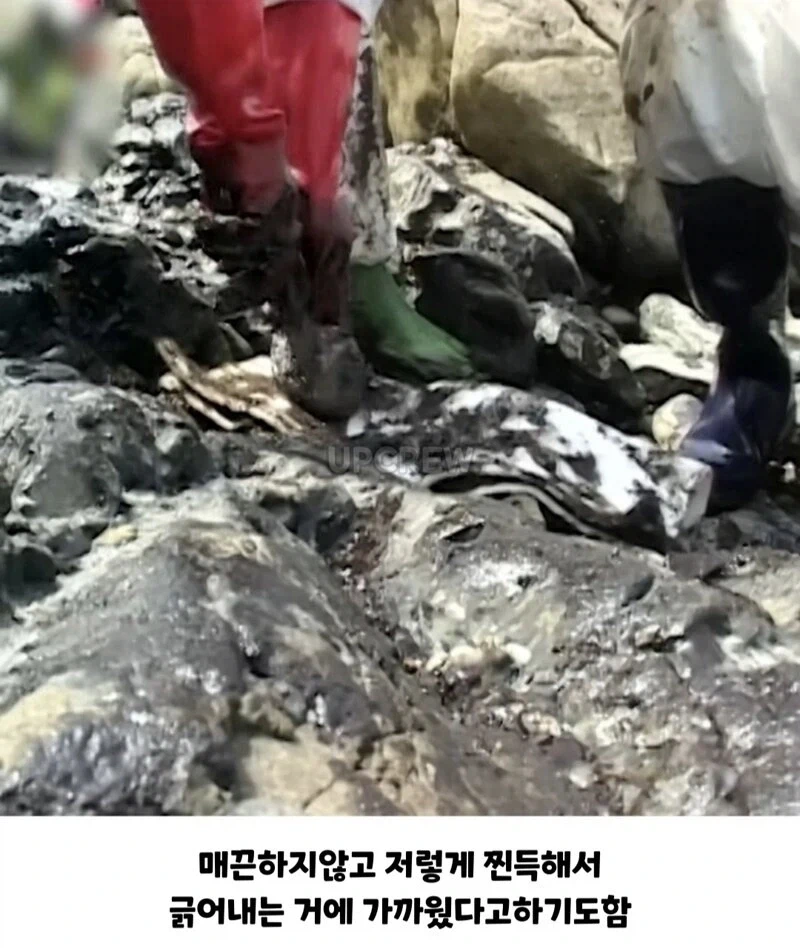 ??? : 한국인들아 느그 그거 복구 20년 걸린다_15.webp