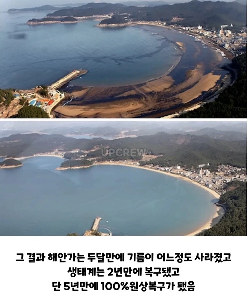 ??? : 한국인들아 느그 그거 복구 20년 걸린다_16.webp