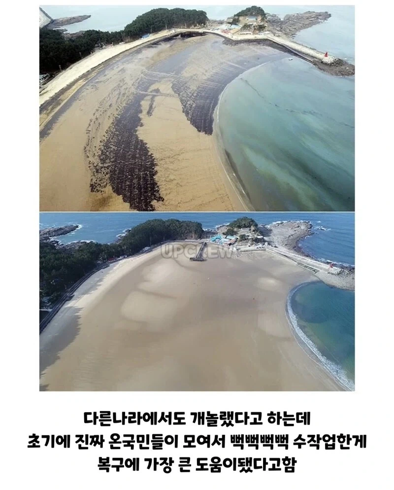 ??? : 한국인들아 느그 그거 복구 20년 걸린다_17.webp
