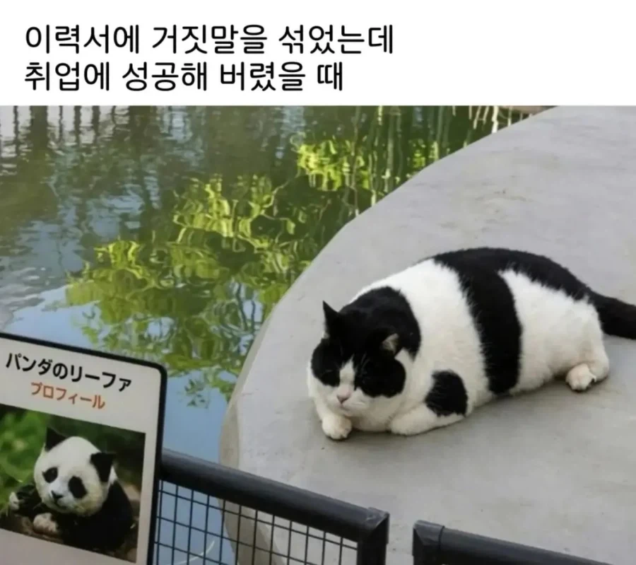 이력서 거짓말로 썼는데 취업에 성공_1.webp