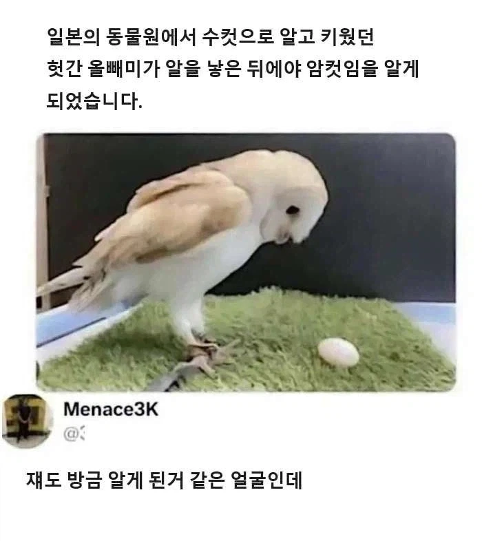 남자인 줄 알았던 애가 사실 여자였다 클리셰.jpg_1.webp