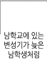 쓰레기장에 피어난 꽃같은 것_2.webp
