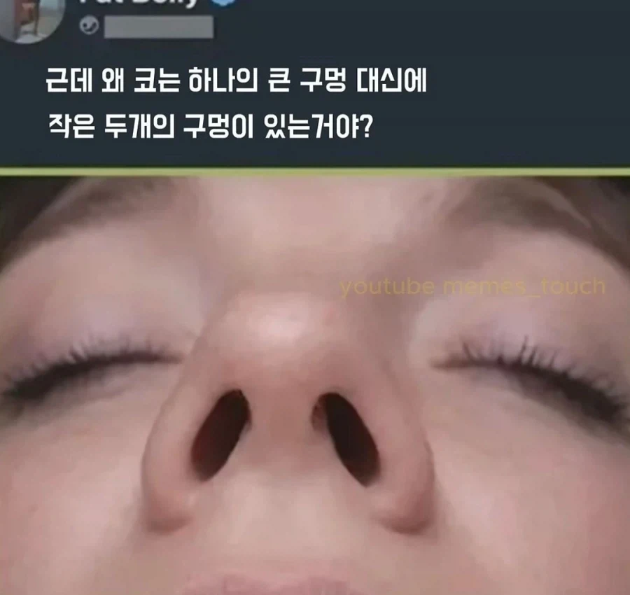 왜 코는 하나의 큰 구멍 대신에 작은 두개의 구멍이 있는거야?_1.webp