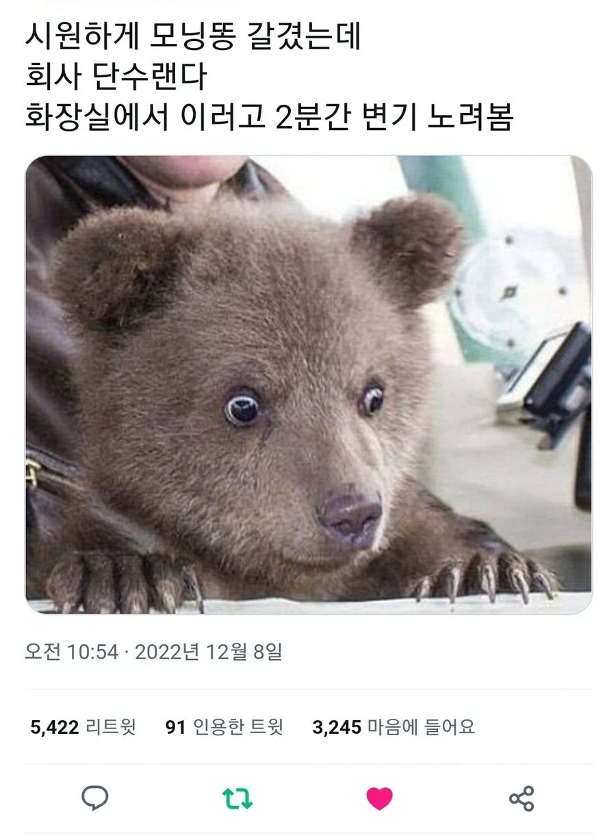 회사에서 싼 사람의 최후.jpg_1.webp