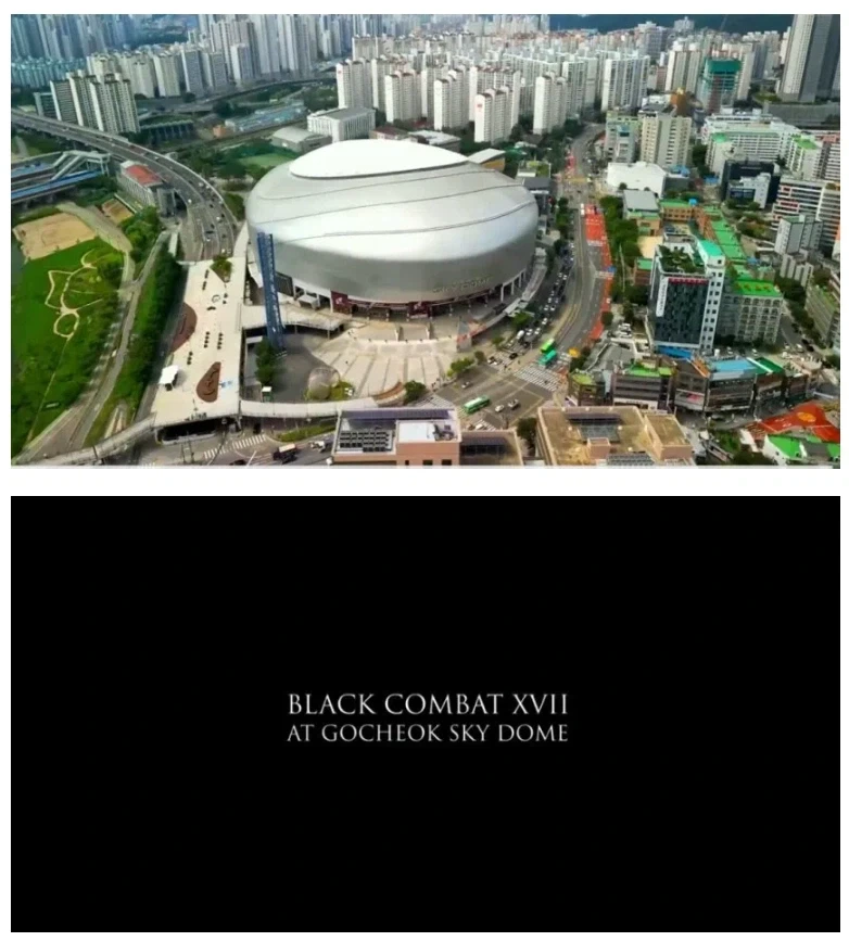 추성훈 은퇴경기 확정...jpg_2.webp