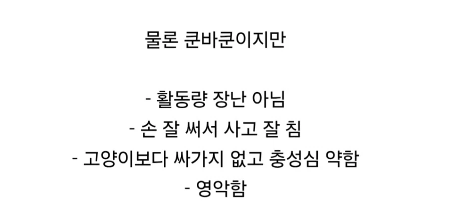 개와 고양이의 단점을 합쳤다는 반려동물.jpg_4.webp