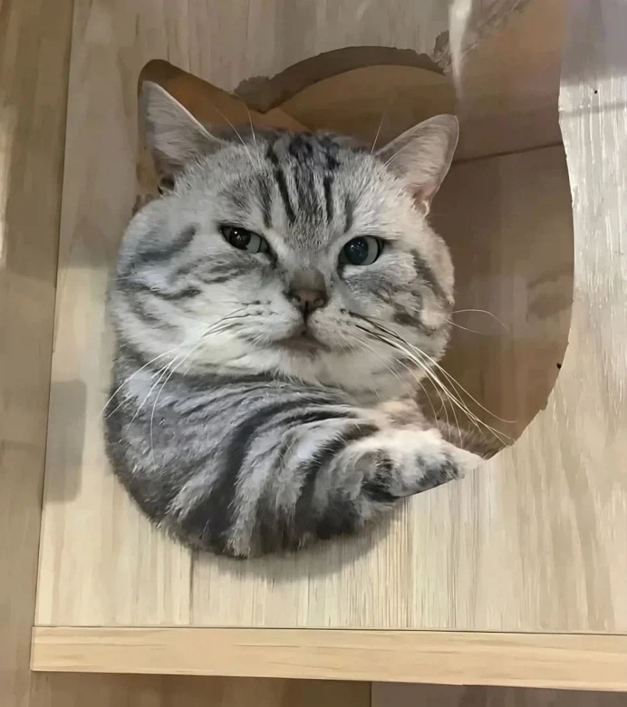 ???:어이 아가씨!!!_1.webp