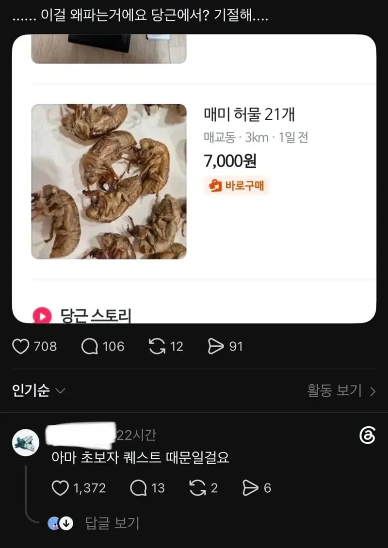 심각하다는 당근 매미허물.jpg_1.webp