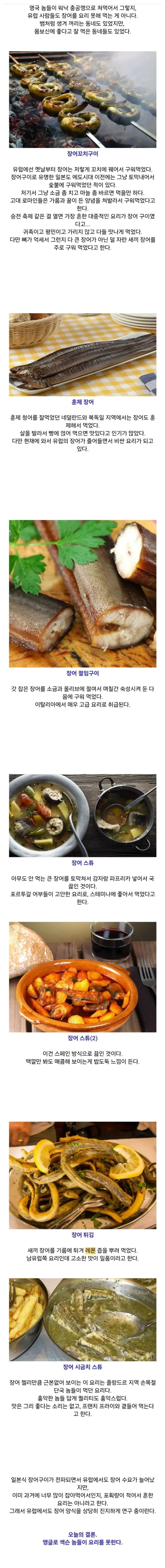 서양의 장어요리._1.webp
