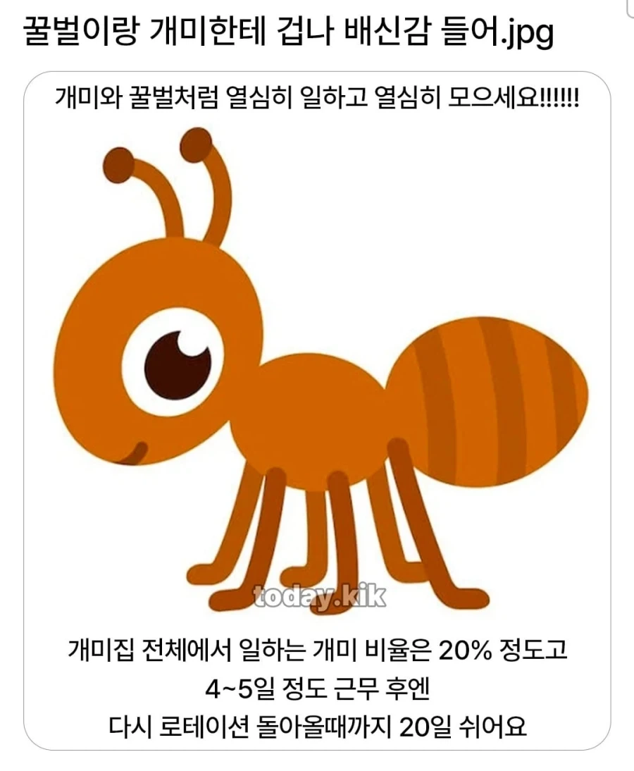 꿀벌과 개미에게 배신감 드는 이유.jpg_1.webp