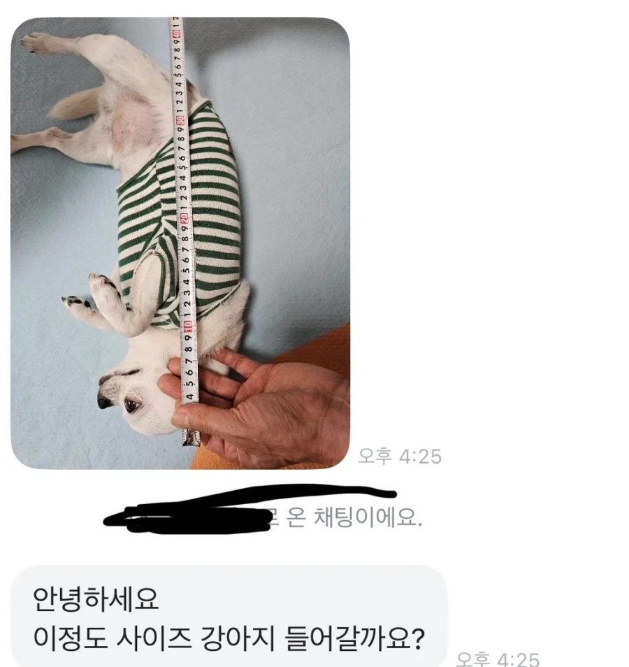 당근에 강아지 집 올려놨는데 온 문의_1.webp