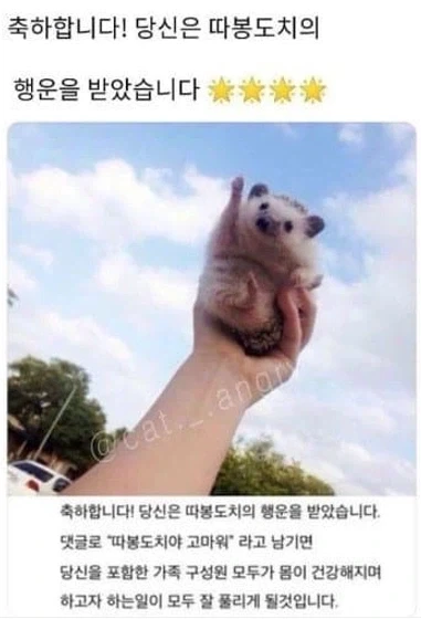 개인적으로 좋아하는 인터넷 밈 스타일.jpg_1.webp