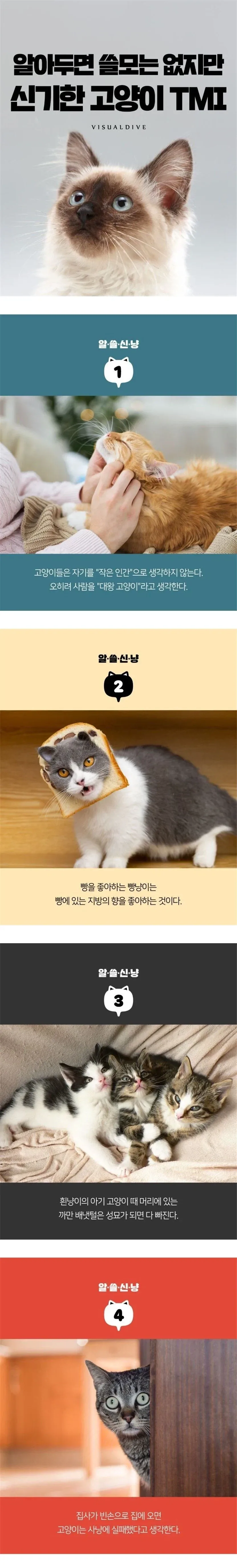 알아도 쓸모없는 고양이 TMI_1.webp