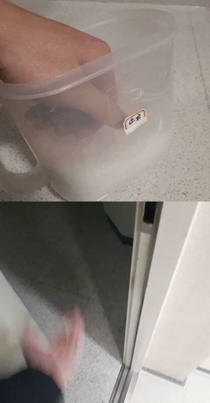 의외로 물 다음으로 살려고 먹는거_1.webp