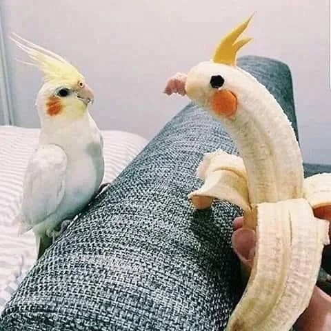 소개팅 사기를 당했다._1.webp