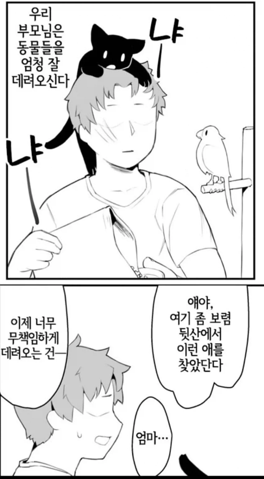 부모님이 유기동물을 데려와서 문제임.jpg_1.webp