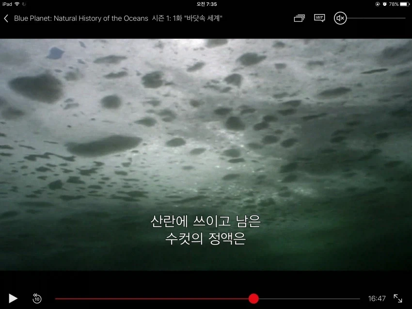 청어 번식기 환경_1.webp