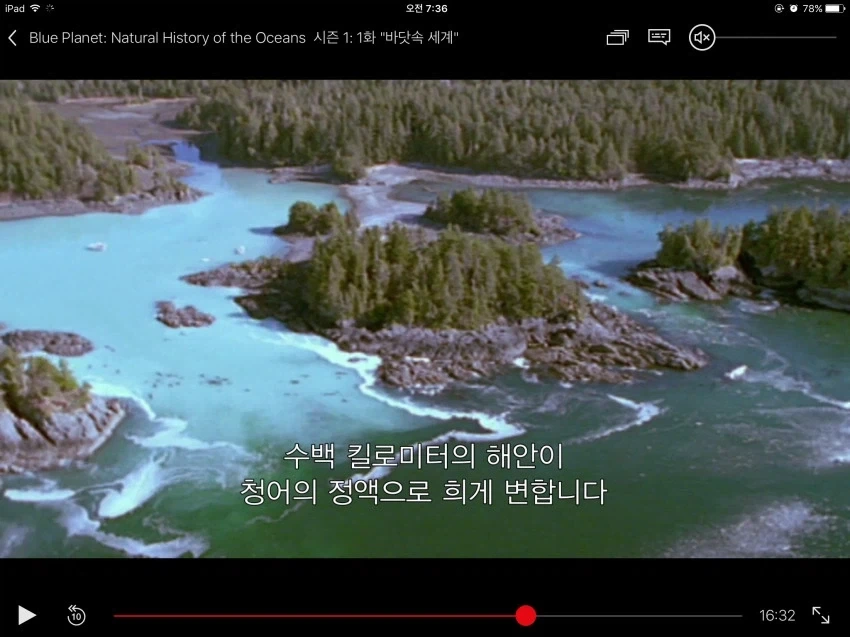 청어 번식기 환경_3.webp