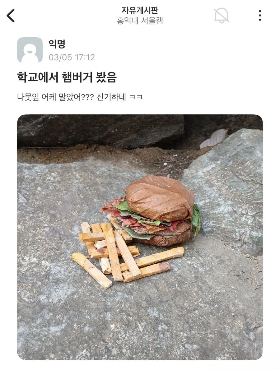 학교에서 햄버거 봤음.jpg_1.webp