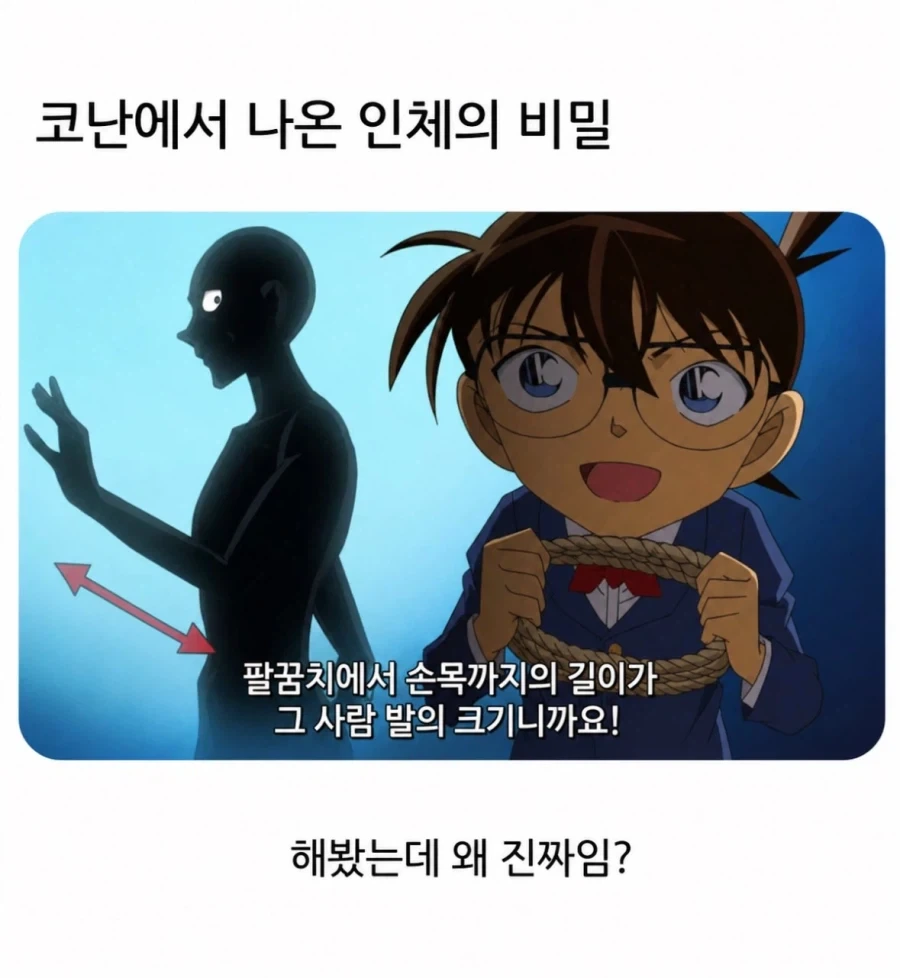 명탐정 코난에서 나온 인체의 비밀.jpg_1.webp