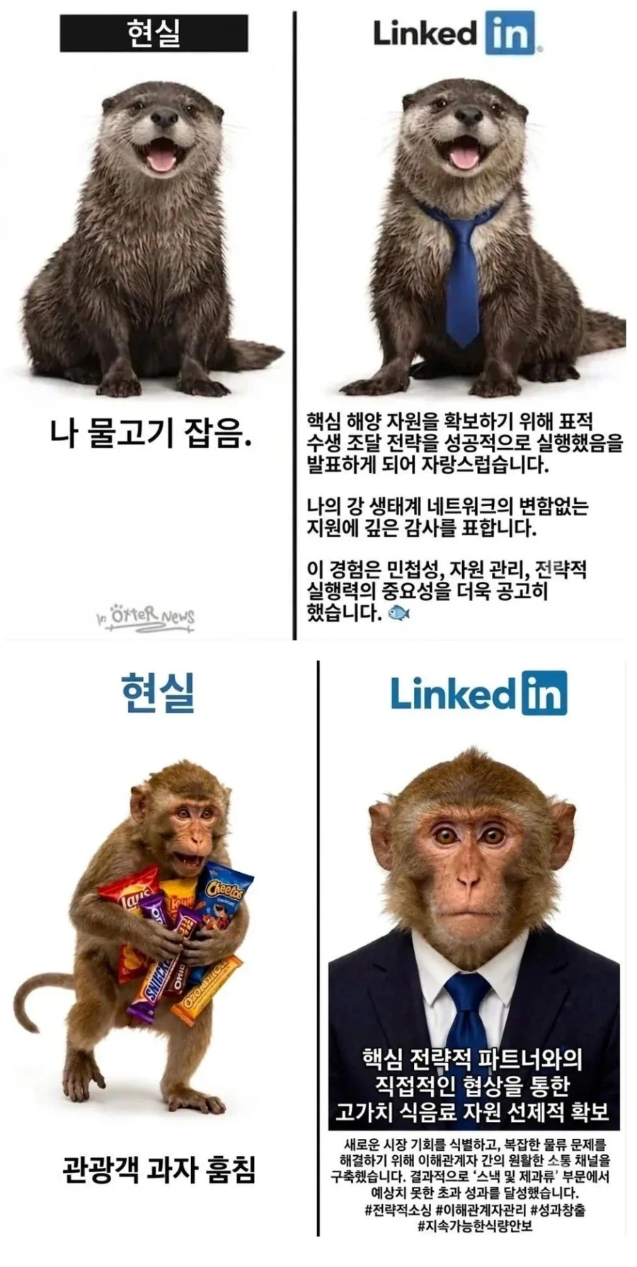 현실 vs 자소서_1.webp