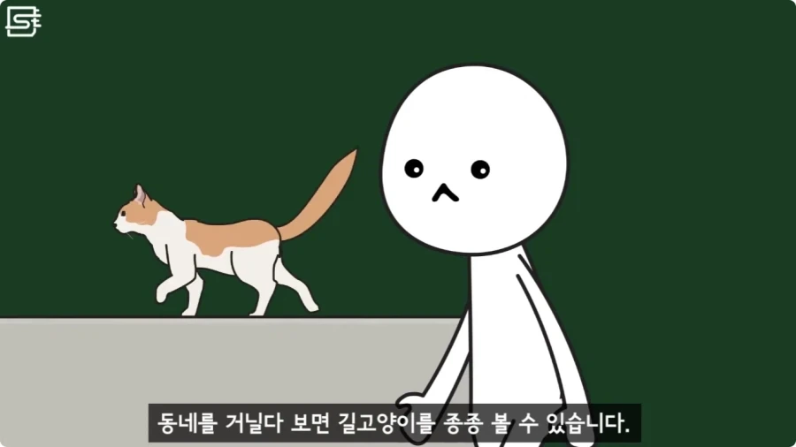 길고양이를 만지면 안되는 이유.jpg_1.webp