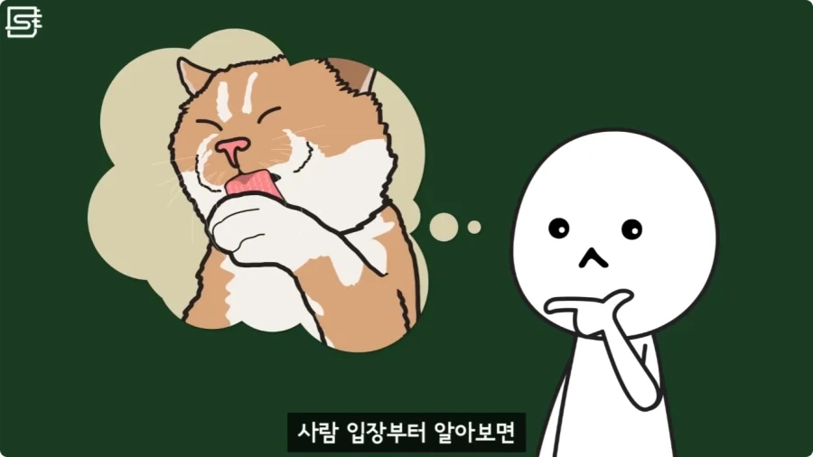 길고양이를 만지면 안되는 이유.jpg_2.webp