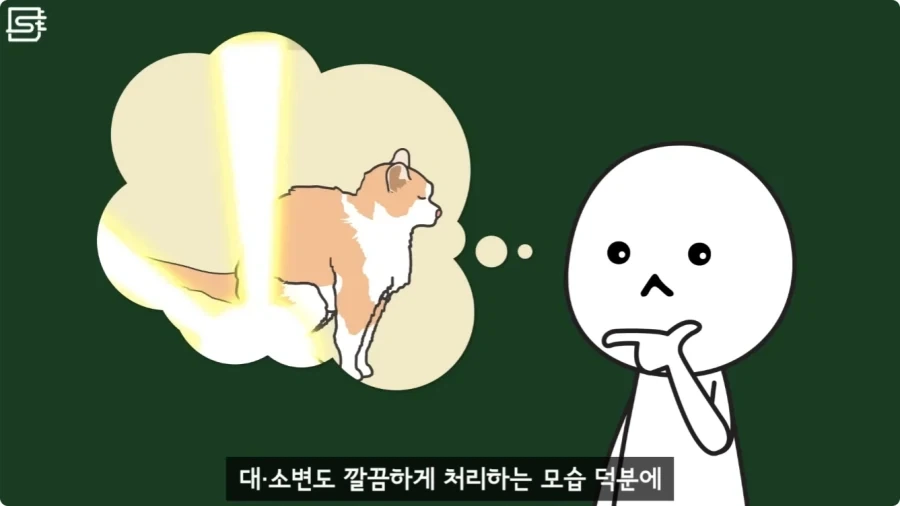 길고양이를 만지면 안되는 이유.jpg_4.webp
