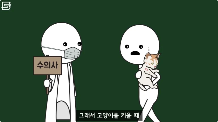 길고양이를 만지면 안되는 이유.jpg_20.webp