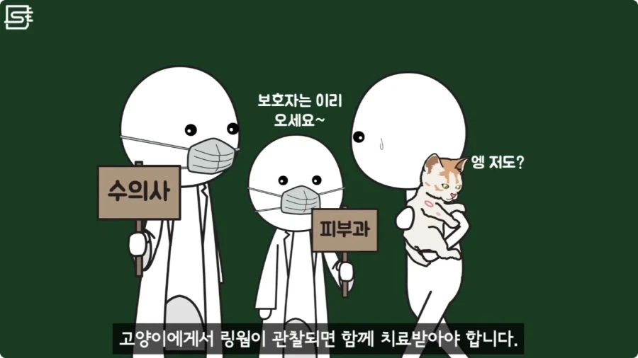 길고양이를 만지면 안되는 이유.jpg_21.webp