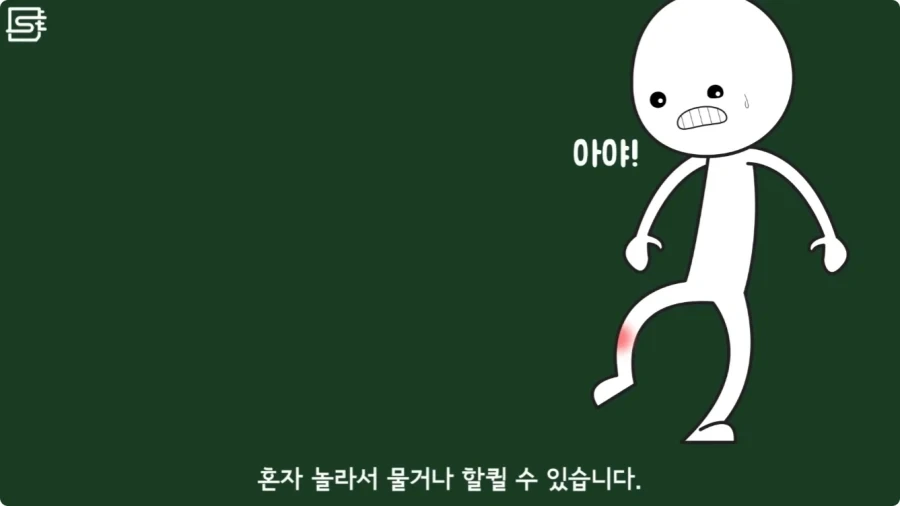 길고양이를 만지면 안되는 이유.jpg_27.webp