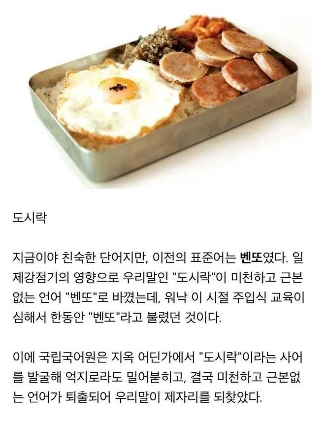 죽어 사라질뻔한 단어_1.webp
